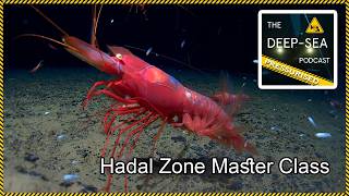 PRESSURISED:Hadal Zone Master Class with Professor Alan Jamieson | The Deep-Sea Podcast | Episode 66