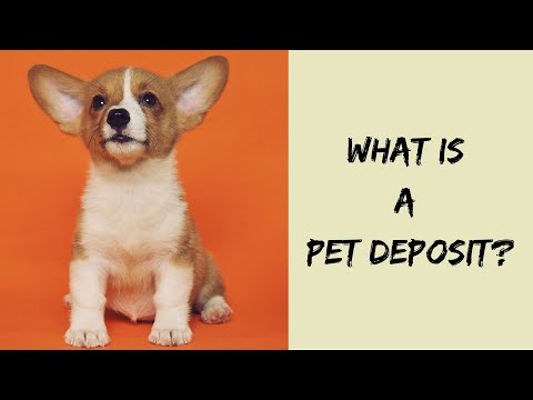 What Is A Typical Pet Fee For An Apartment