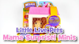 Little Live Pets Mama Surprise Minis Lil' Bunny| UNBOXING