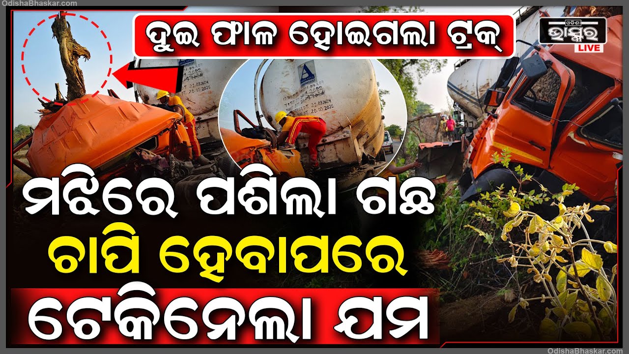 ଏମିତି ଚଳାଉଥିଲେ ଡ୍ରାଇଭର ଯେ ମଝିରେ ପଶିଲା ଗଛ, ଦୁଇ ଫାଳ ହେଇଗଲା ଟ୍ରକ୍! ଆଉ ତା'ପରେ...