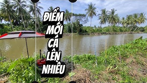 CÂU CÁ SÔNG 83 ✔️ ĐIỂM MỚI CÁ ỤC RẤT NHIỀU #fishing