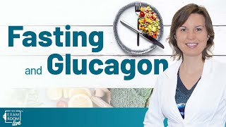 Glucagon and Fasting | The Exam Room Podcast