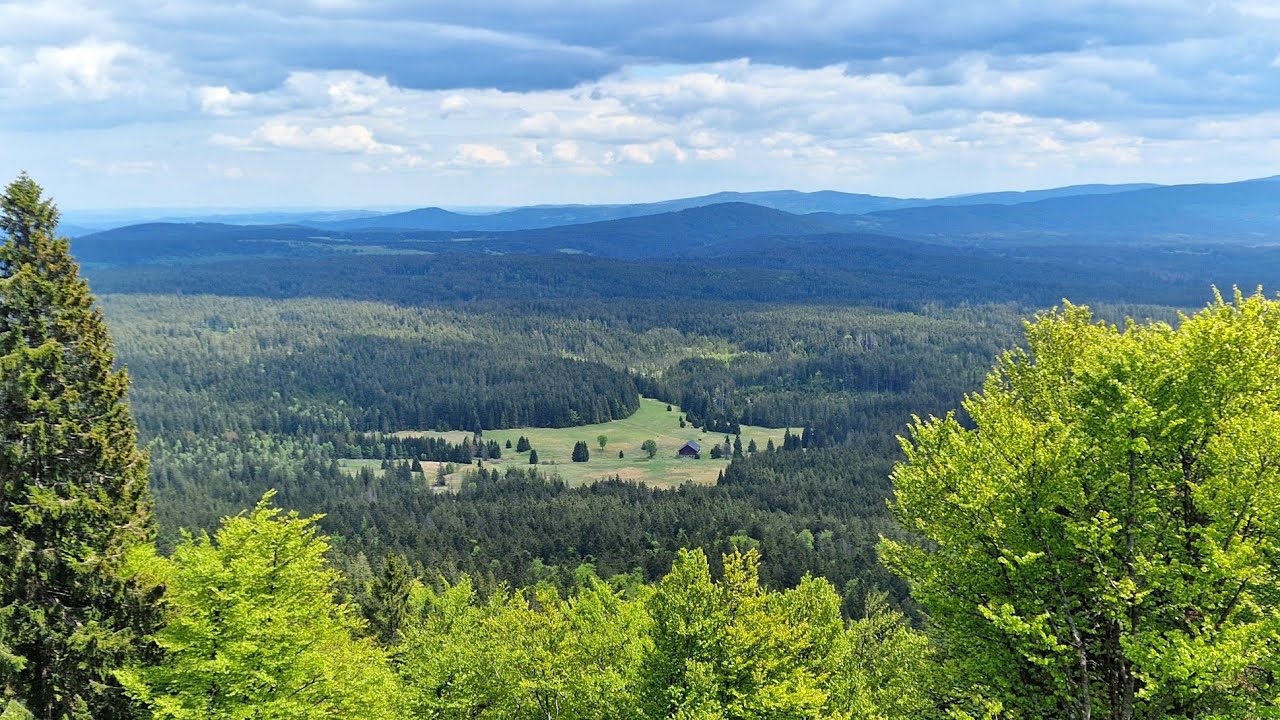 Na kole Kvilda  Bučina Šumava  2025