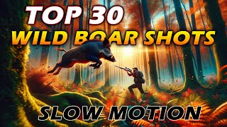 🔥Top 30 🐗 Wild Boar Shots compilation 🐗🐗🐗 on Slow-motion🍺