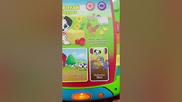 LeapFrog 2 in 1 Touch & Learn Tablet