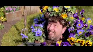 Take More Home This Spring Bedding Plants Youtube