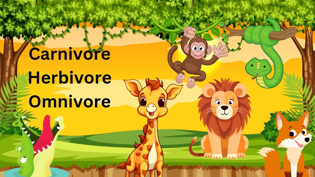 Carnivore herbivore omnivore Animals - YouTube