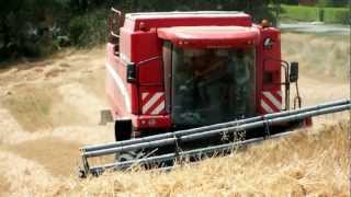 moisson de blé 2012 en coteaux avec une laverda M 304 LS