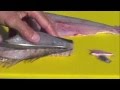 How to clean Sea Trout by Captain Vincent Russo