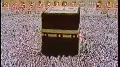 سورة إبراهيم| - الآيات ' 24 - 26 ' للشيخ علي جابر رحمه الله |