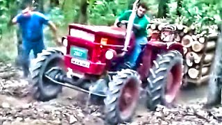 Universal 445 u sumi , traktor u sumi , traktor zaglavio
