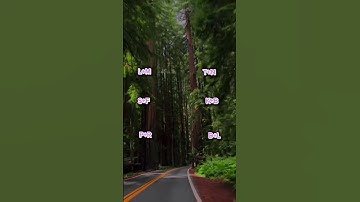 Like for part 2🤩 #shorts #couplegoals #couple #relationship #initial #edit #fyp #cute #love #trend