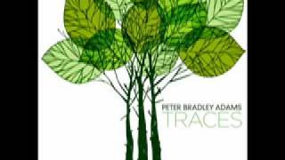 Peter Bradley Adams - Family Name.mov chords