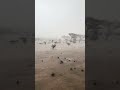 سحابة ساموده الغزيره شرق الطايف الاحد ٢٦ ابريل ٢٠٢٦ م