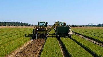 Tour Stop 7: Lifting Bare Root Pine Tree Seedlings