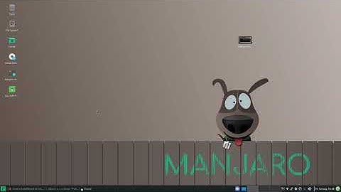 manjaro tricks - run ubuntu in manjaro using docker 5 running salome in docker and pruning