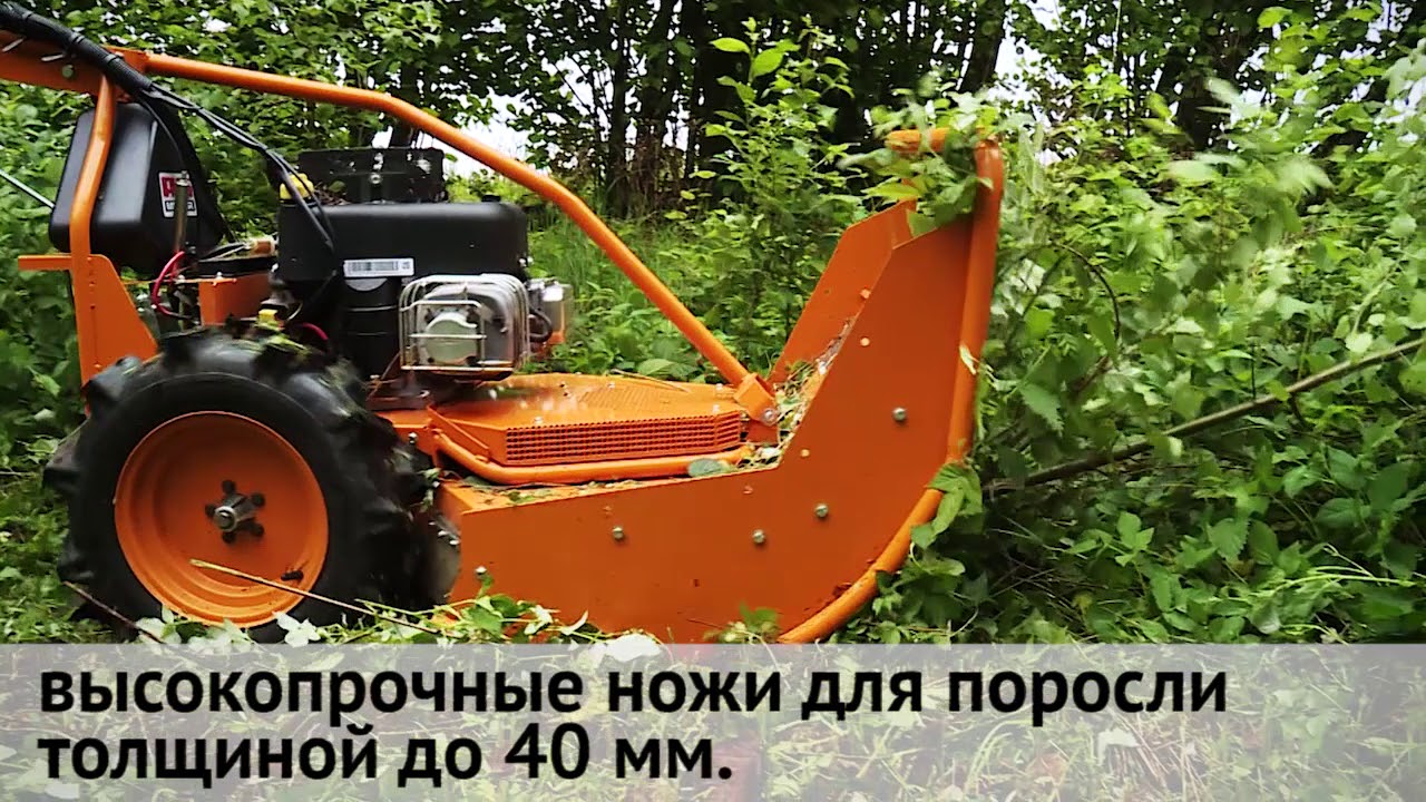AS 65 Scout косилка для ухода за молодым лесом