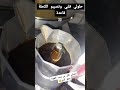 حلولي قلبي وتصيبو الكحلة قاعدة قهوة اكسبلور رمضان تحضيرات رمضان رمضانمبارك تحضيرات رمضان 2025