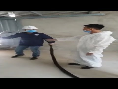 Video BÁO GIÁ 2020| Bàn giao công nghệ máy phun foam cách... - youtube