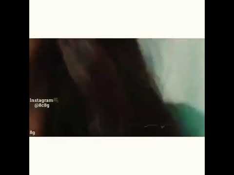 جذبني ما شفت مثله كلب عقلي عقل طفله 