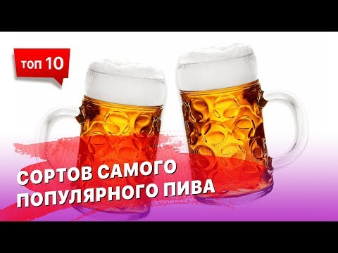 ТОП 10 самого распространенного пива в Мире