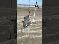 Mancing Ikan Besar Di Pantai Pake drone #short #mancing #mancingikan #mancingmania #ikanhiu