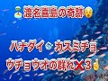 奇跡の大群！グルクの崎☆渡名喜島ダイビングツアー