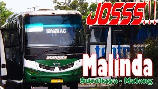 RA GELEM KALAH !! Trip Report MALINDA Surabaya - Malang #PesonaBusEkonomi