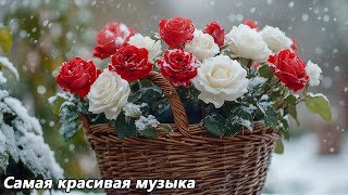 картинка: Музыка для души🌿Можно слушать вечно🌿Лучшие композиции Сергея Грищука #2