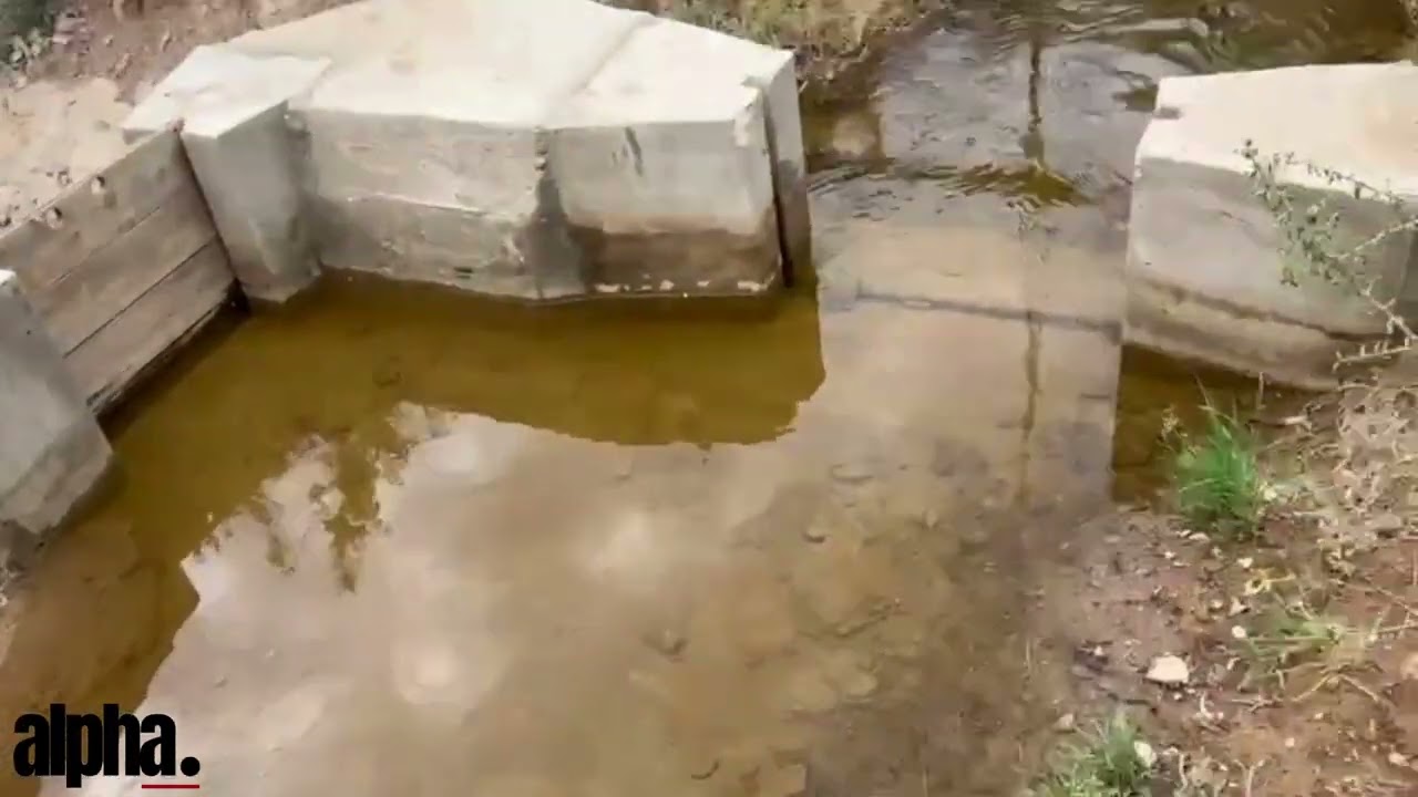 Klein Karoo Olive Estate & Irrigation Farm