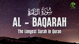 Surah Al Baqarah سورة البقرة With a Beautiful Voice Makes the Heart Calm | Ismail Al Qadi