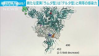 コロナ変異ラムダ型　感染力はデルタ型と同程度(2021年7月4日)