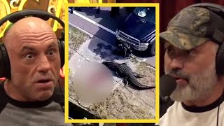 Joe & Eddie: Florida Lady Found In 13 FOOT Alligators Mouth?!