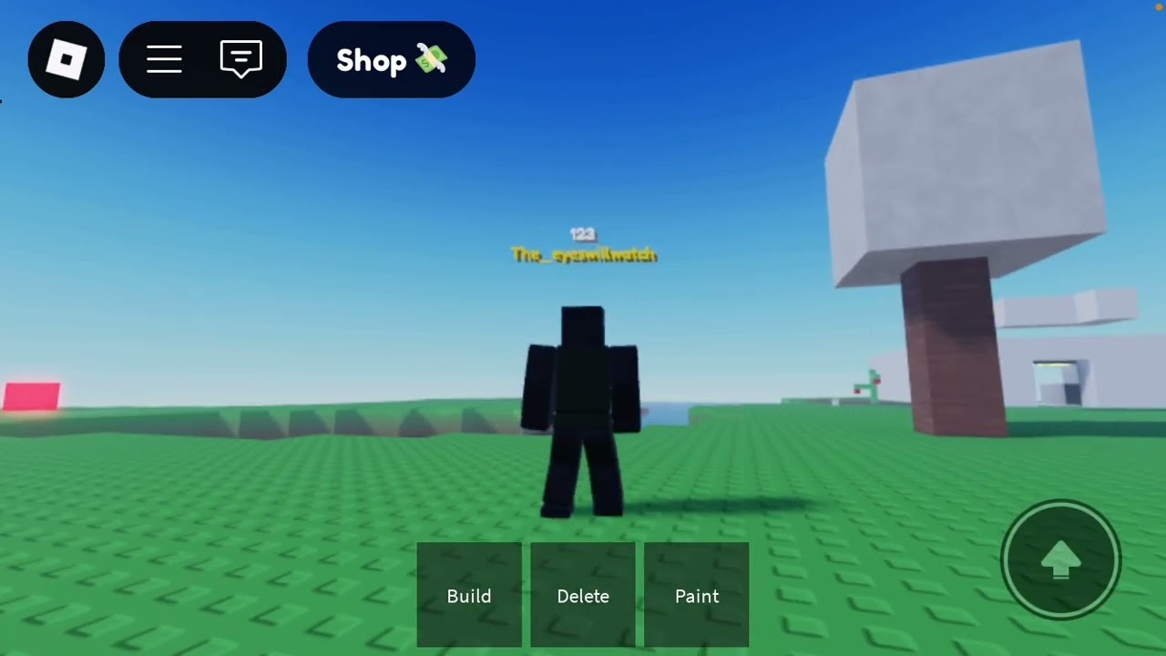 Getting to the black box skybox arg in the chosen one