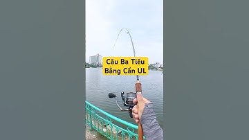 Câu Ba Tiêu bằng cần UL quả thật là một thử thách khó nhắn thật