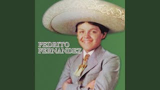 Video thumbnail of "Pedro Fernández - La Malagueña"