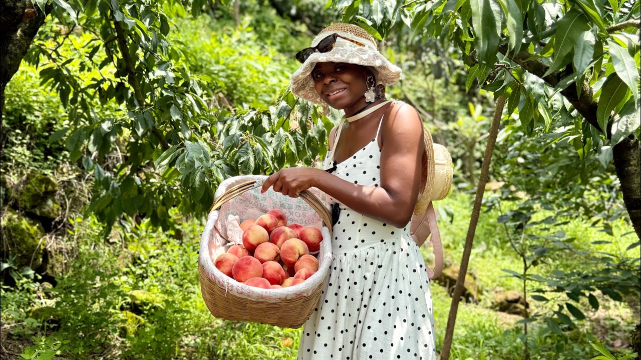 Went  to Longquan Mountain to pick peaches and enjoy charcoal-grilled chicken.
