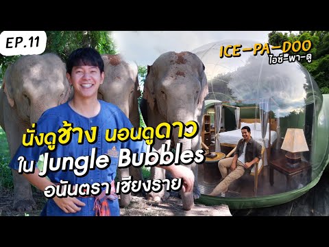 นั่งดูช้าง นอนดูดาว ใน Jungle Bubbles อนันตรา เชียงราย | EP.11 ICE-PA-DOO #ไอซ์พาดู