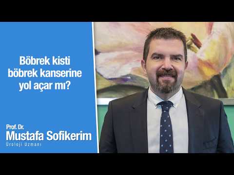 Böbrek kisti böbrek