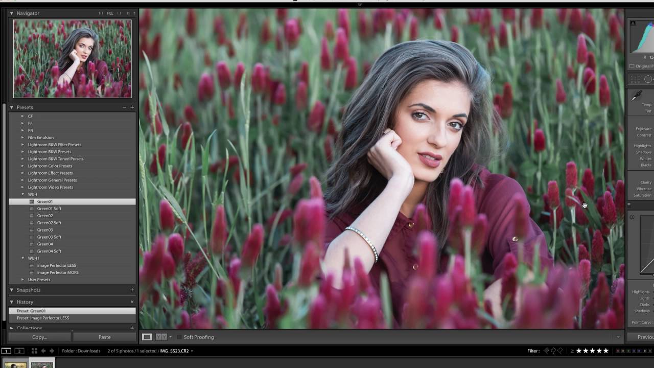Lightroom Tutorial Fix Blue Hair in Shade YouTube