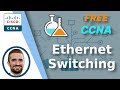 Free CCNA | Analyzing Ethernet Switching | Day 6 Lab | CCNA 200-301 Complete Course