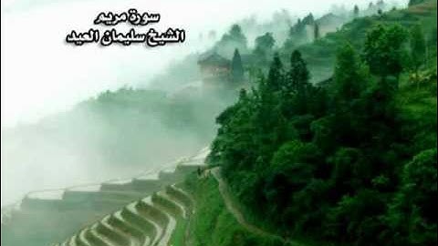 سورة مريم الشيخ سليمان العيد تراويح 1433 هـ.