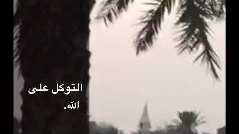 من سورة الشعراء