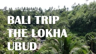 Bali Trip  The Lokha Ubud Resort