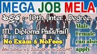 AP లో 3,500 పైగా ఉద్యోగాల భర్తీ | APSSDC jobs | 10th,  Inter,  Degree, Btech |No Exam,Fee | AndhraTV