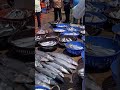 Mangalore Dakke Fishing Harbour Nammakudla Fishing Fishingvideo