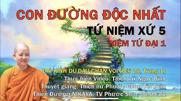 TỨ NIỆM XỨ 5 - Niệm Tứ Đại 1 - Chơn Tín Toàn