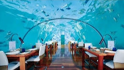 Ithaa Undersea Restaurant, Maldives/Conrad Maldives Underwater Restaurant