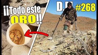 ¡ORO SÓLIDO en el DESIERTO! Fiebre del oro en Atacama, Chile - Detección Metálica 268