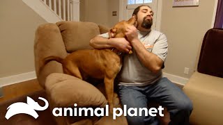 Baker Red Helps A Mourning Family | Pit Bulls and Parolees | Animal Planet by Animal Planet 51,786 views 2 weeks ago 9 minutes, 30 seconds